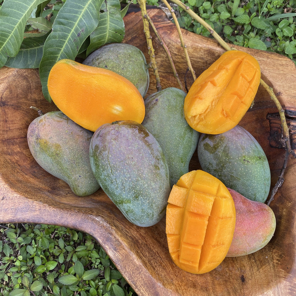 
            
                Load image into Gallery viewer, East Indian Mango Box *Pre-Order*
            
        