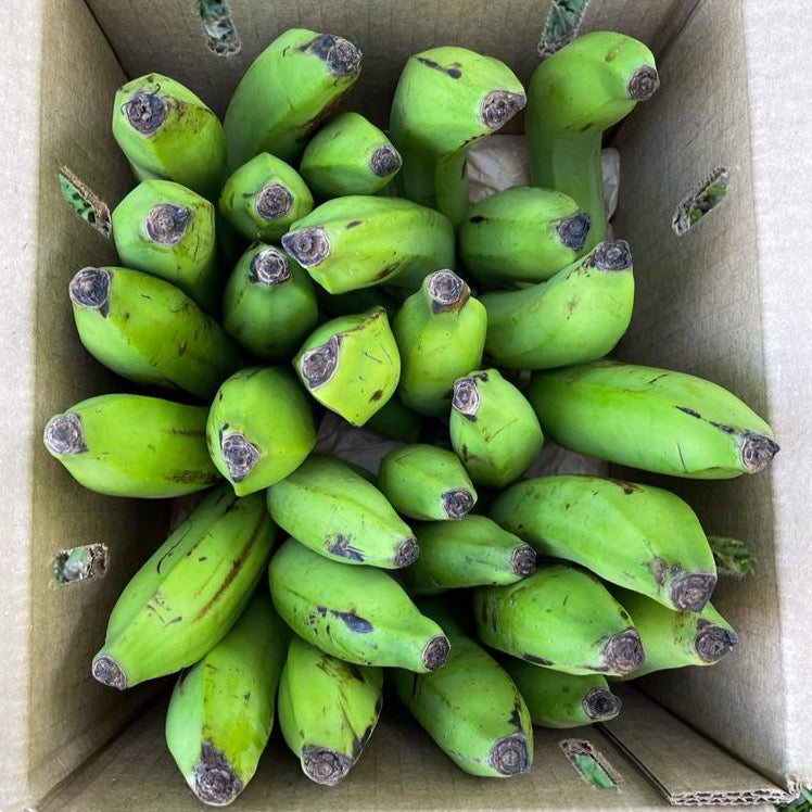 Gros Michel Banana Box