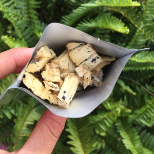 miami fruit monstera deliciosa Freeze Dried Monstera Deliciosa – Miami Fruit