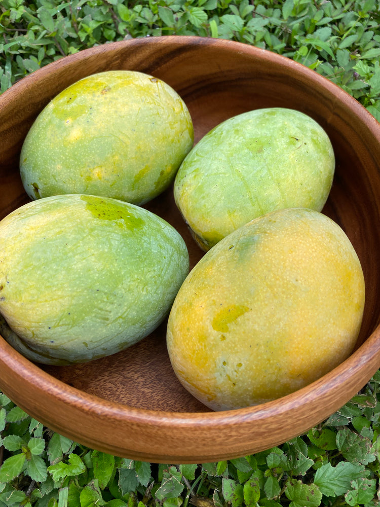 Mango Raja K3 Kathy (K3) Mango *Pre-Order* – Miami Fruit