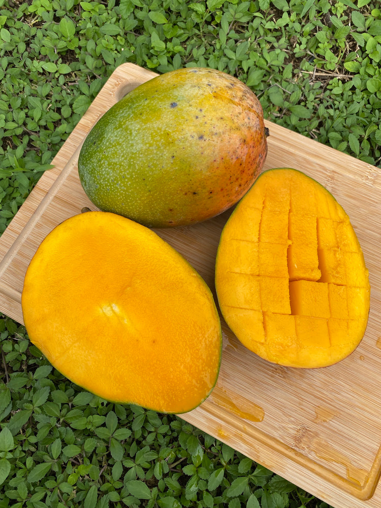 The Mango Is King of the Miami Summer - The New York Times
