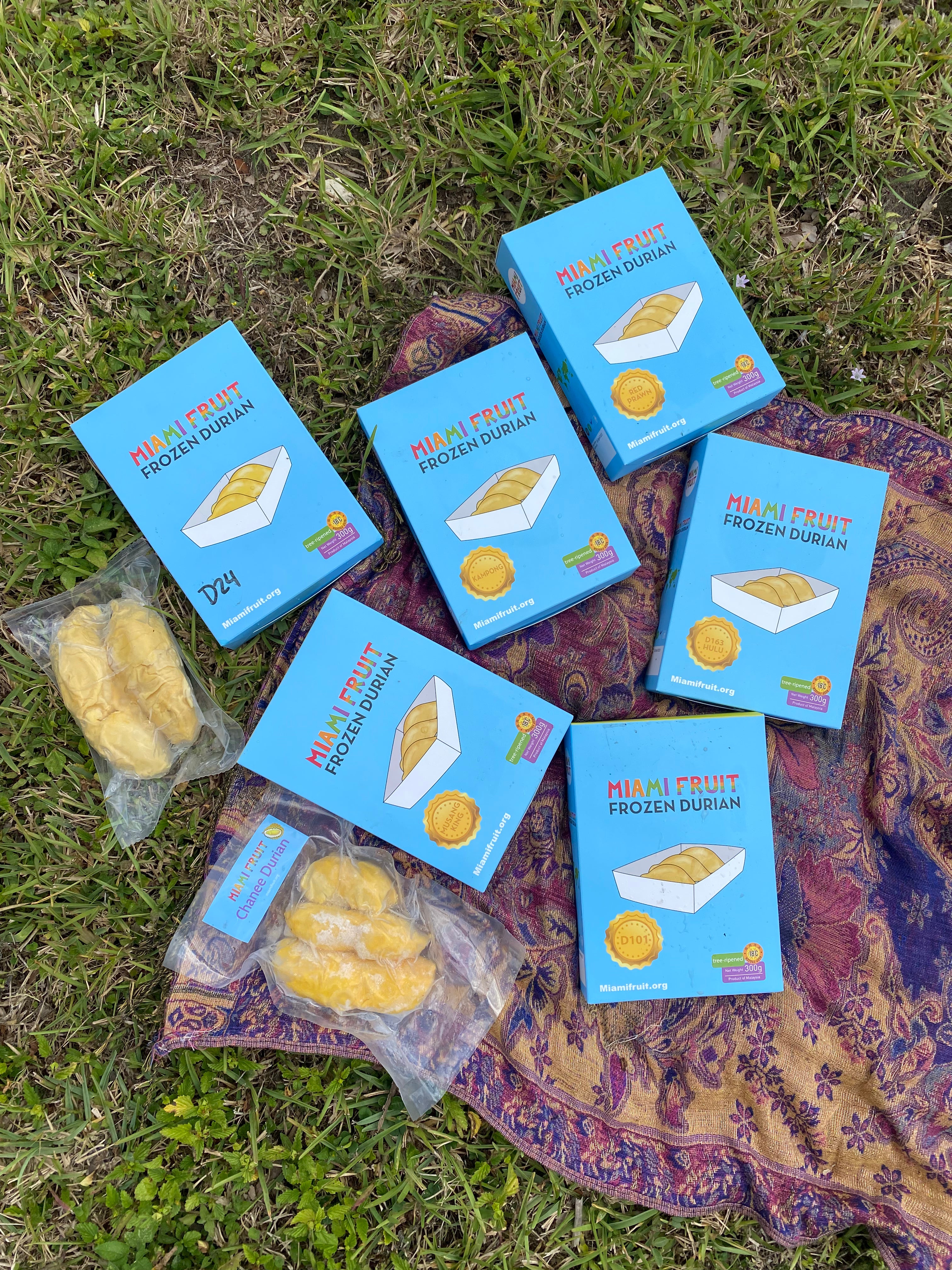 Durian Variety Pack - 6 Different Varieties