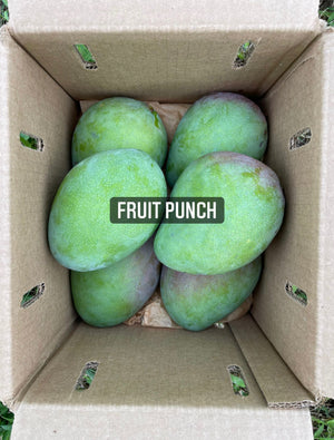Fruit Punch Mango *Pre-Order*
