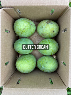 
            
                Load image into Gallery viewer, Buttercream Mango *Pre-Order 2024*
            
        