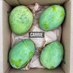 Carrie Mango *Pre-Order*