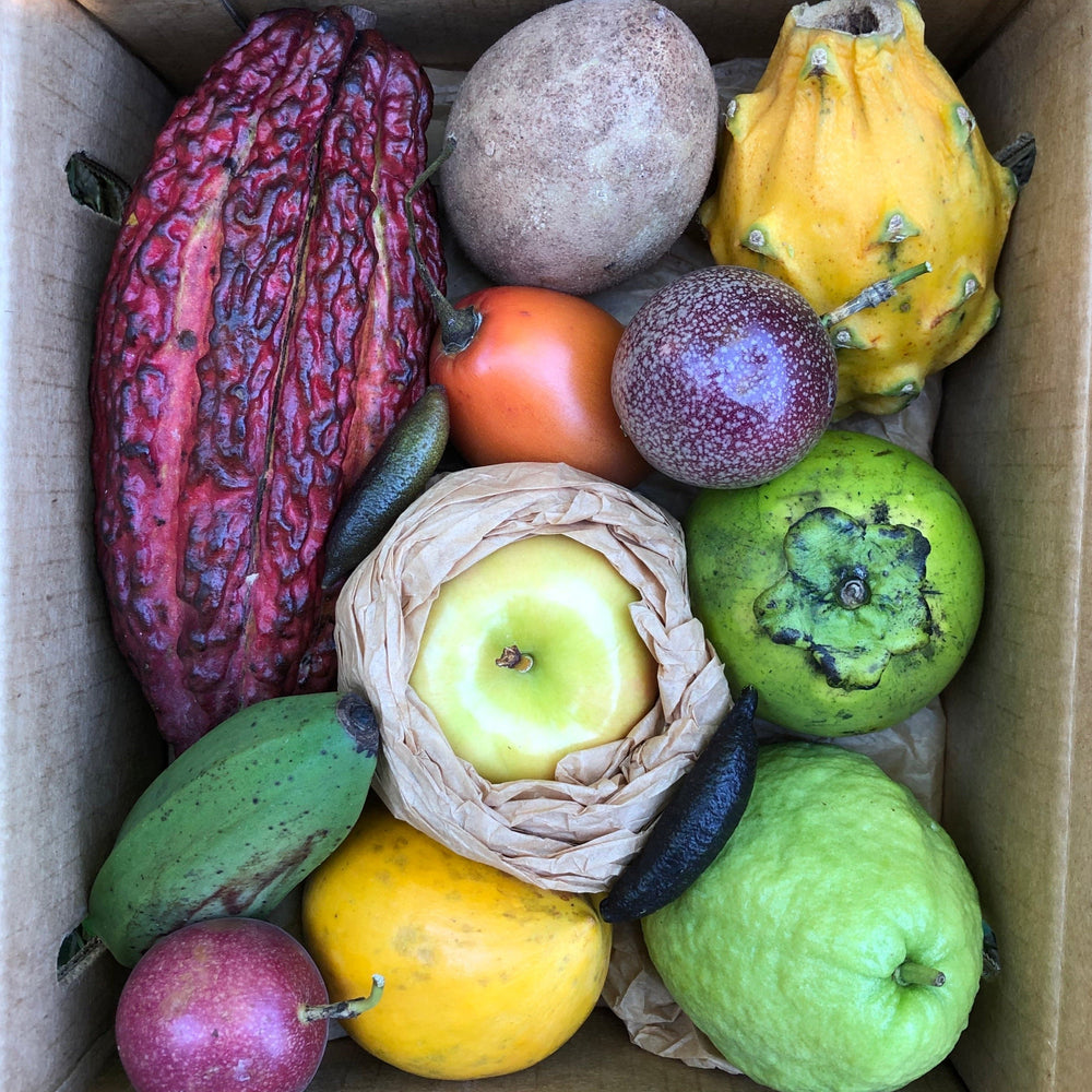 Miami Fruit - Best Tropical Fruit Boxes in the USA
