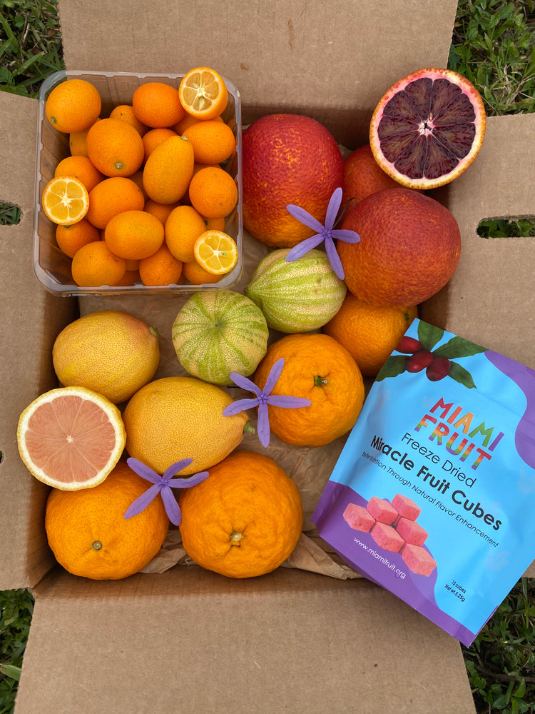 
            
                Load image into Gallery viewer, Miracle Citrus Box *Pre-Order*
            
        