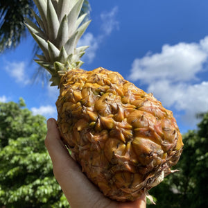 
            
                Load image into Gallery viewer, Pineapple Box
            
        