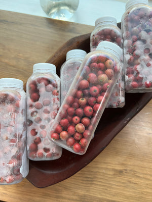 Frozen Strawberry Tree Berry Box *Pre-Order*