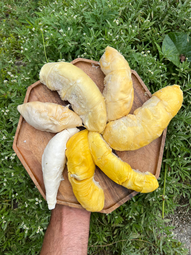
            
                Load image into Gallery viewer, Durian Variety Pack - 8 Different Varieties
            
        
