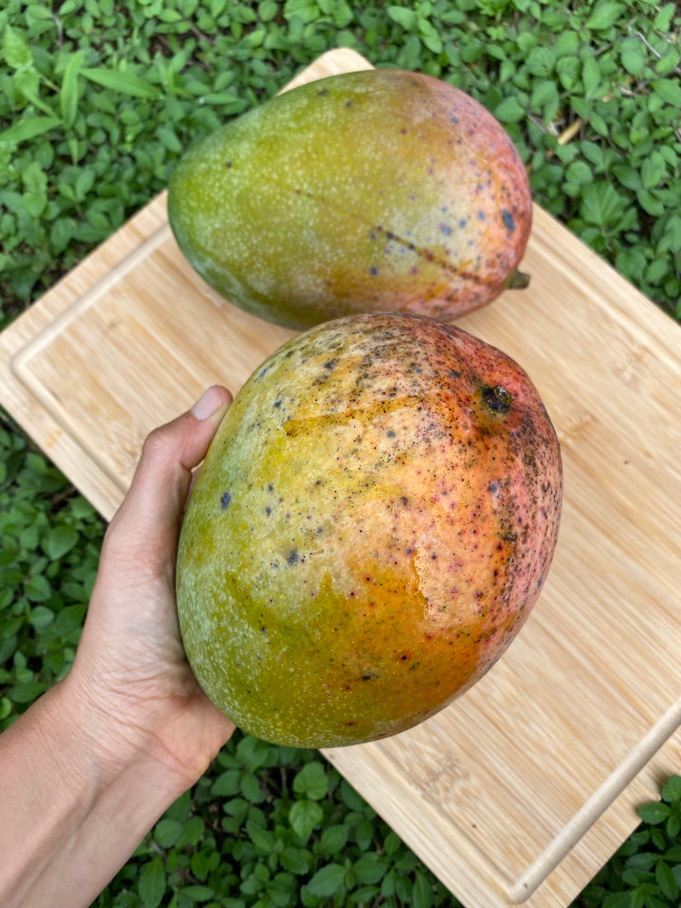 Large Mango