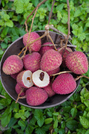 
            
                Load image into Gallery viewer, Lychee - Sweetheart Variety *Pre-Order 2024*
            
        