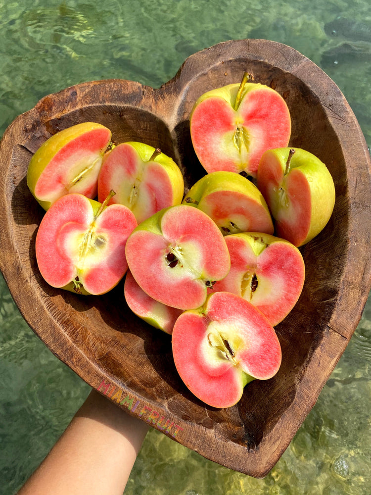rose apple seeds for sale Hidden Rose Apple