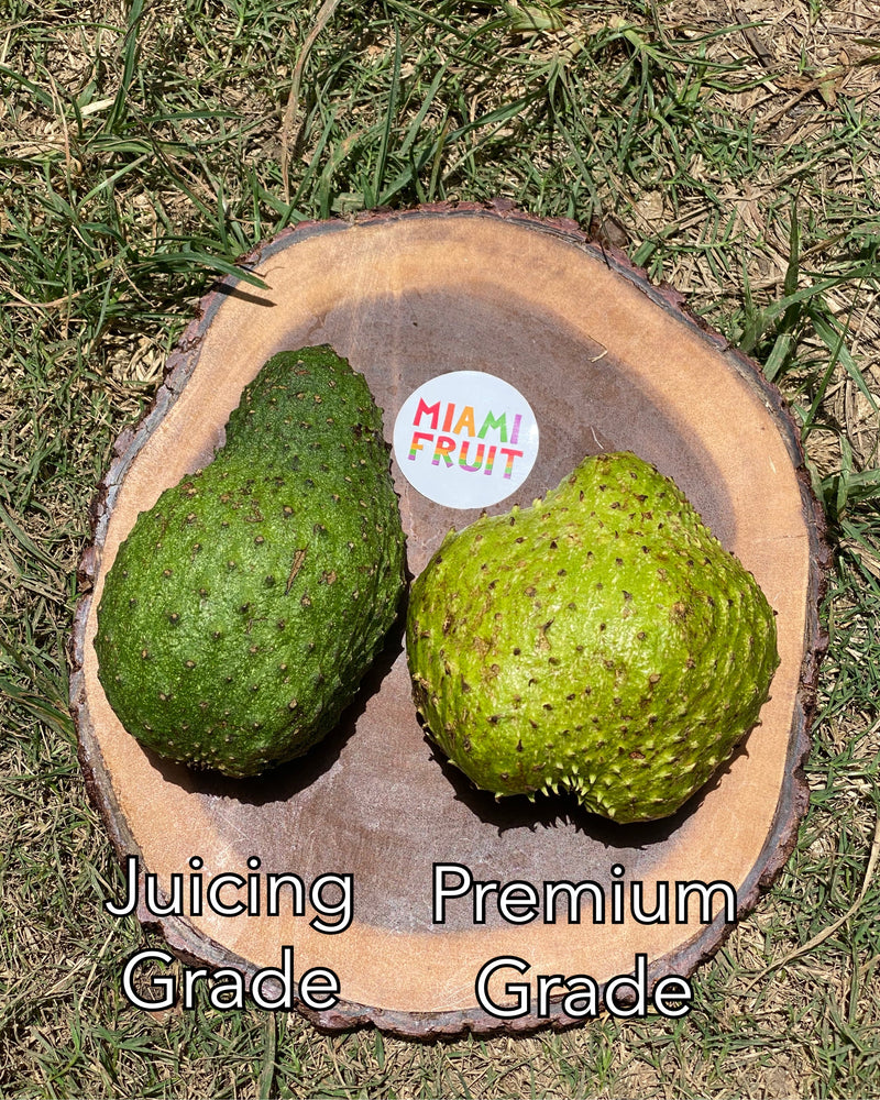 
            
                Load image into Gallery viewer, Soursop (Guanabana) for Juice
            
        
