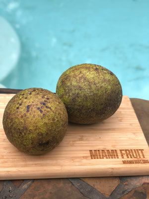 Breadfruit (Ulu) Box *Pre-Order*