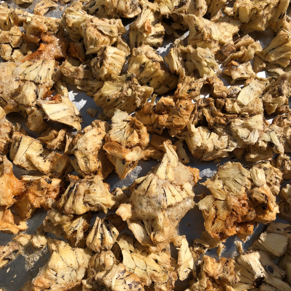 dehydrated monstera Freeze Dried Monstera Deliciosa – Miami Fruit
