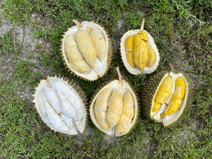 
            
                Load image into Gallery viewer, Durian Party Box - Musang King, D24, D101, Hulu, &amp;amp; Red Prawn
            
        