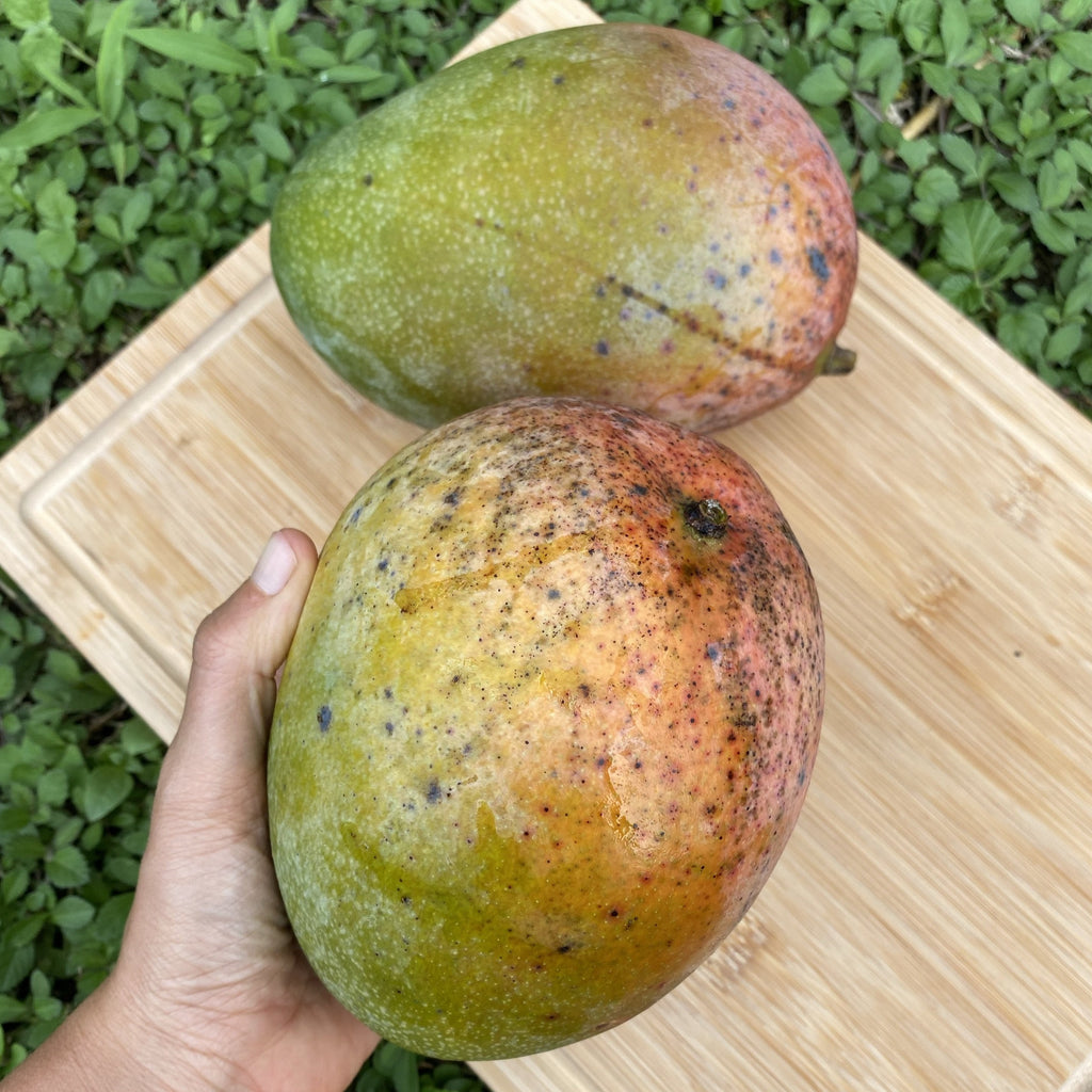 Mango - Buy USA Grown Mango Online from Miami Fruit
