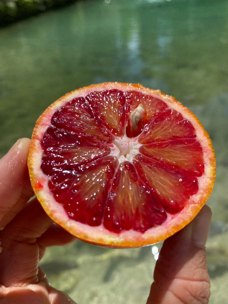 
            
                Load image into Gallery viewer, Blood Orange Box *Pre-Order*
            
        