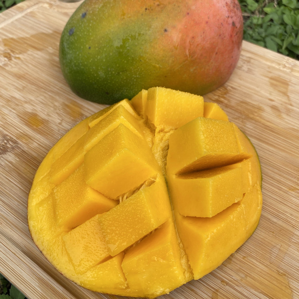 Keitt Mangos — Melissas Produce