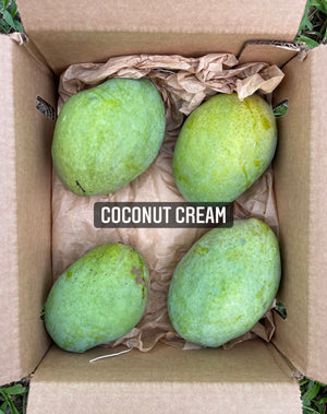
            
                Load image into Gallery viewer, Coconut Cream Mango Box *Pre-Order 2024*
            
        