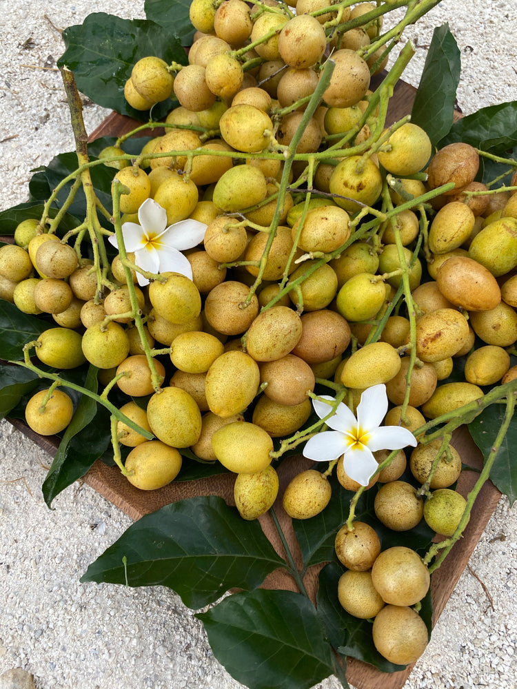 Wampee Roots Wampee (wampi) – Miami Fruit