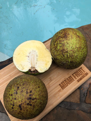 Breadfruit (Ulu) Box *Pre-Order*