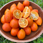 Mandarinquat *Pre-Order*