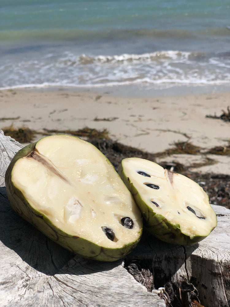 
            
                Load image into Gallery viewer, Cherimoya Box *Pre-Order*
            
        