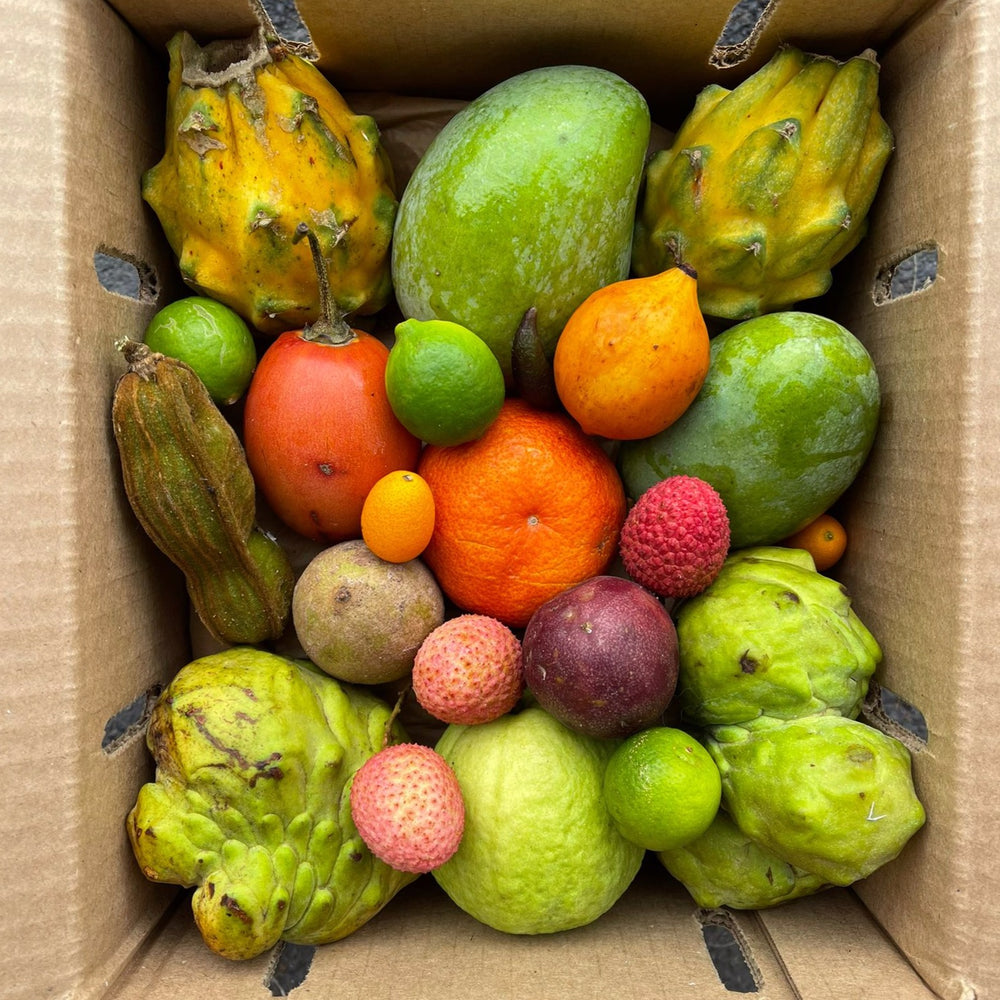What's in Season | Tropical Fruit Boxes | Miami Fruit – Page 4