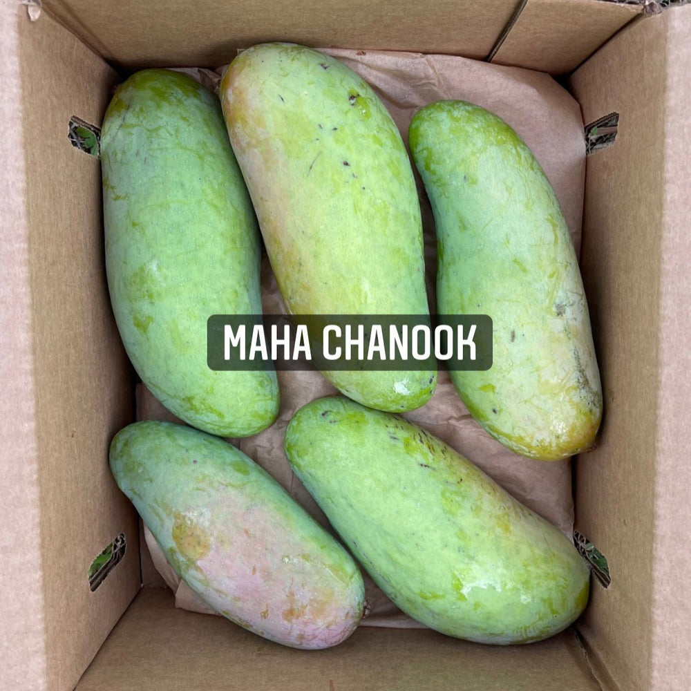 Mahachanok Mango *Pre-Order*