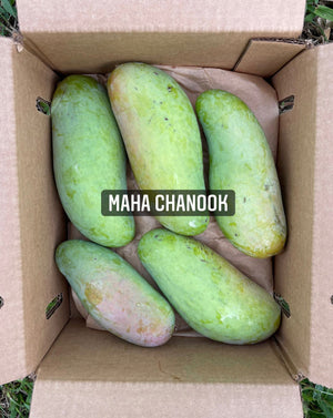 
            
                Load image into Gallery viewer, Mahachanok Mango Box *Pre-Order 2024*
            
        