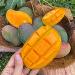 East Indian Mango *Pre-Order*