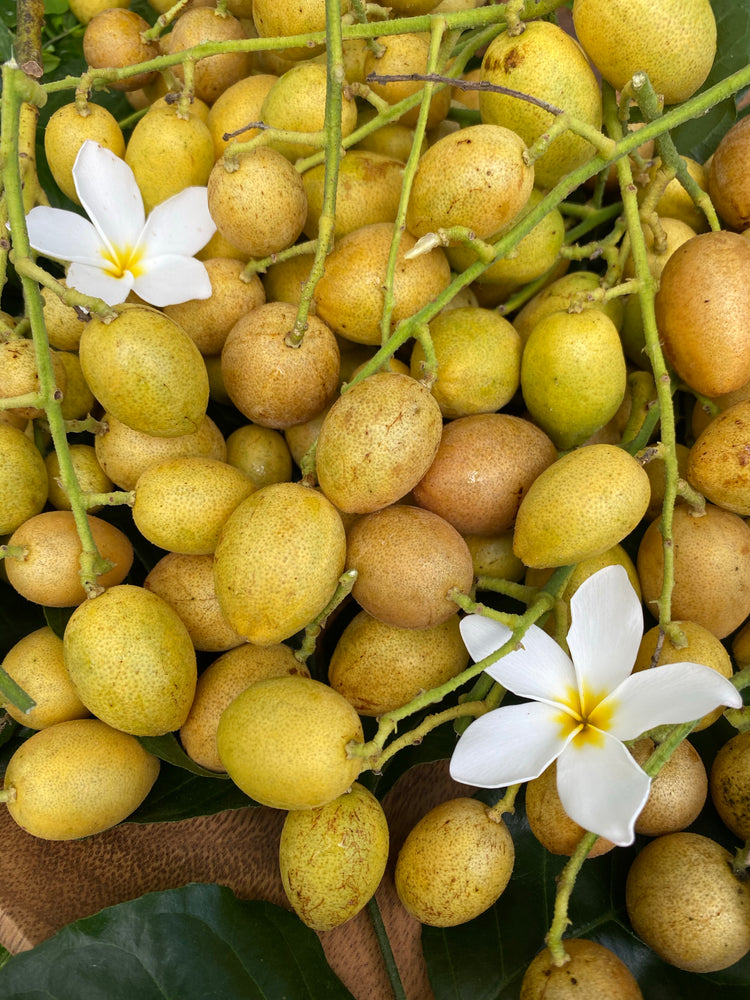 Wampee Roots Wampee (wampi) – Miami Fruit