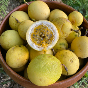 Golden Passionfruit (Lilikoi) *Pre-Order*