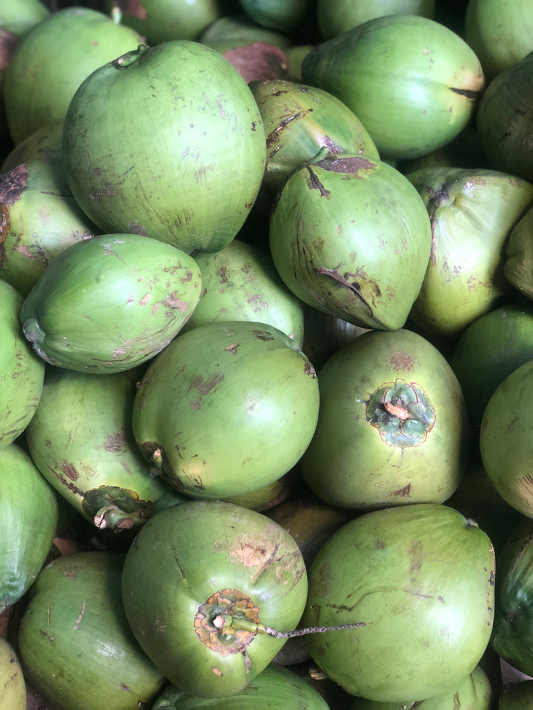 Water Coconuts – Miami Fruit