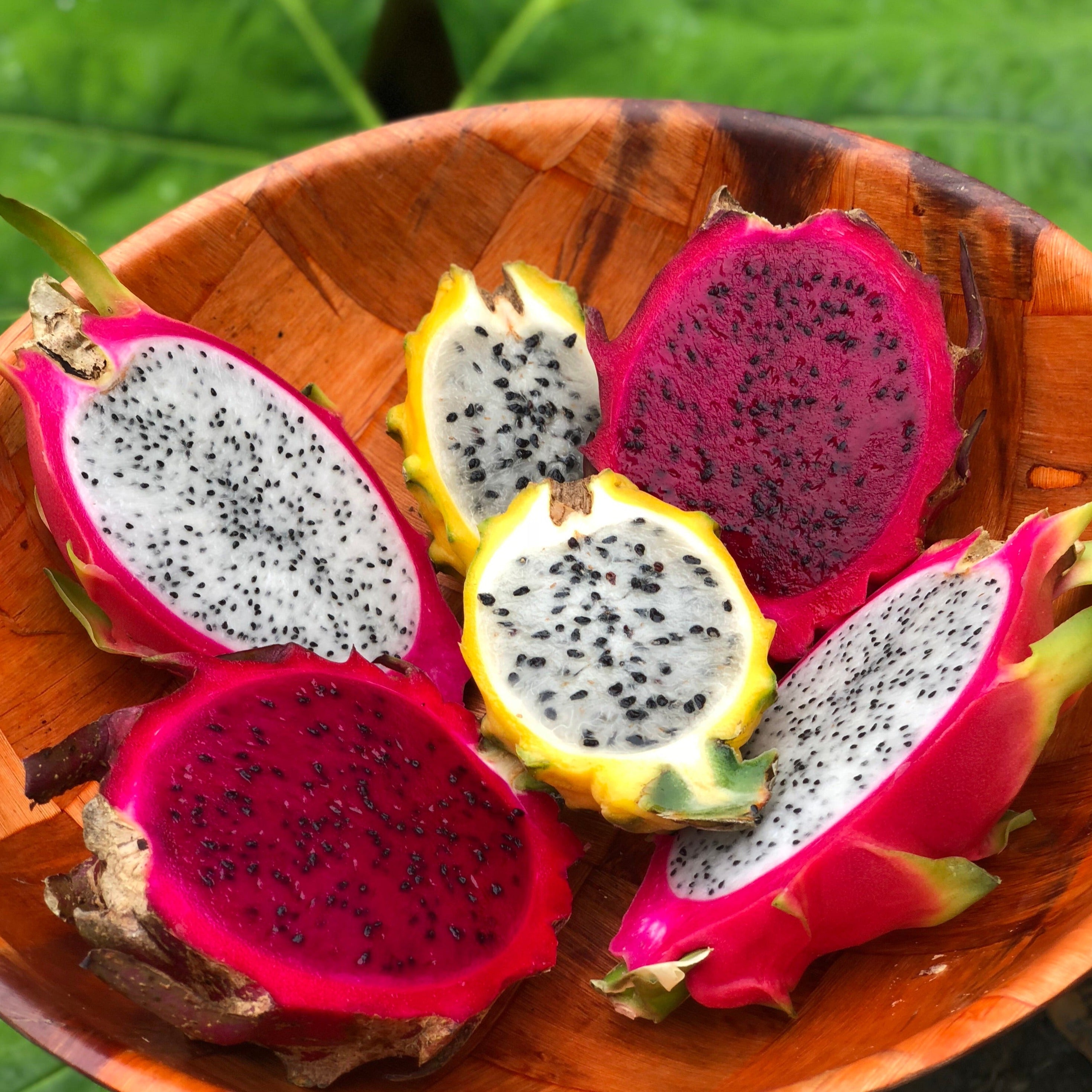 Dragonfruit Mix Box – Miami Fruit