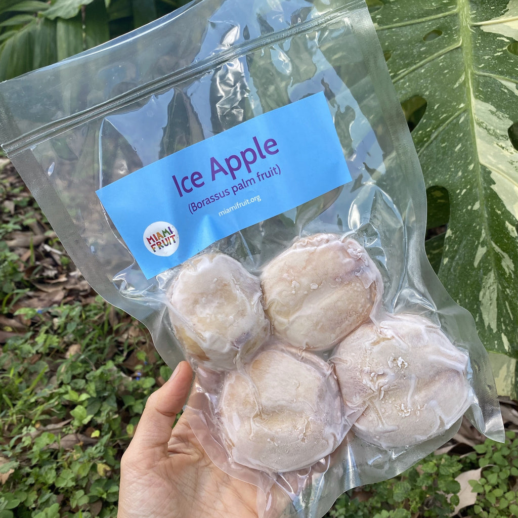 Frozen Ice Apple (Toddy Palm) - Borassus Palm - Buy ice apple