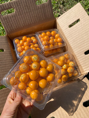 Goldenberry (Peruvian Groundcherry) Box
