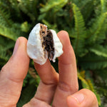 Freeze Dried Cacao