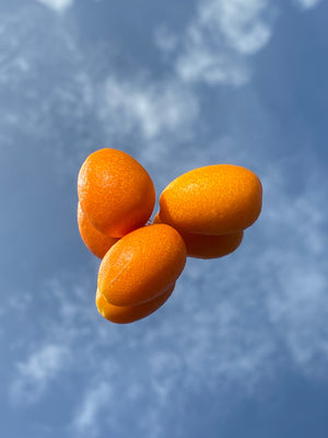 Kumquat *Pre-Order*