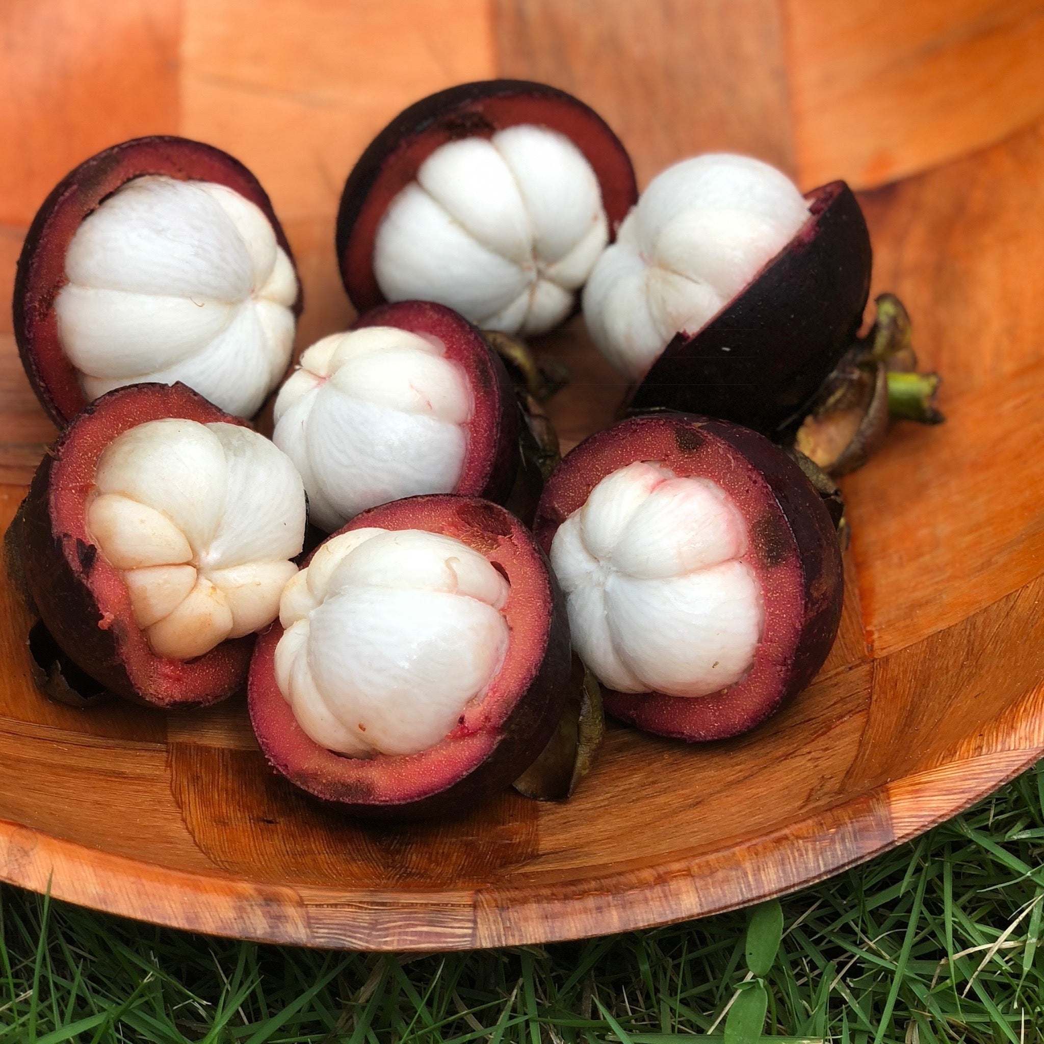Mangosteen Buy Mangosteen online from Miami Fruit