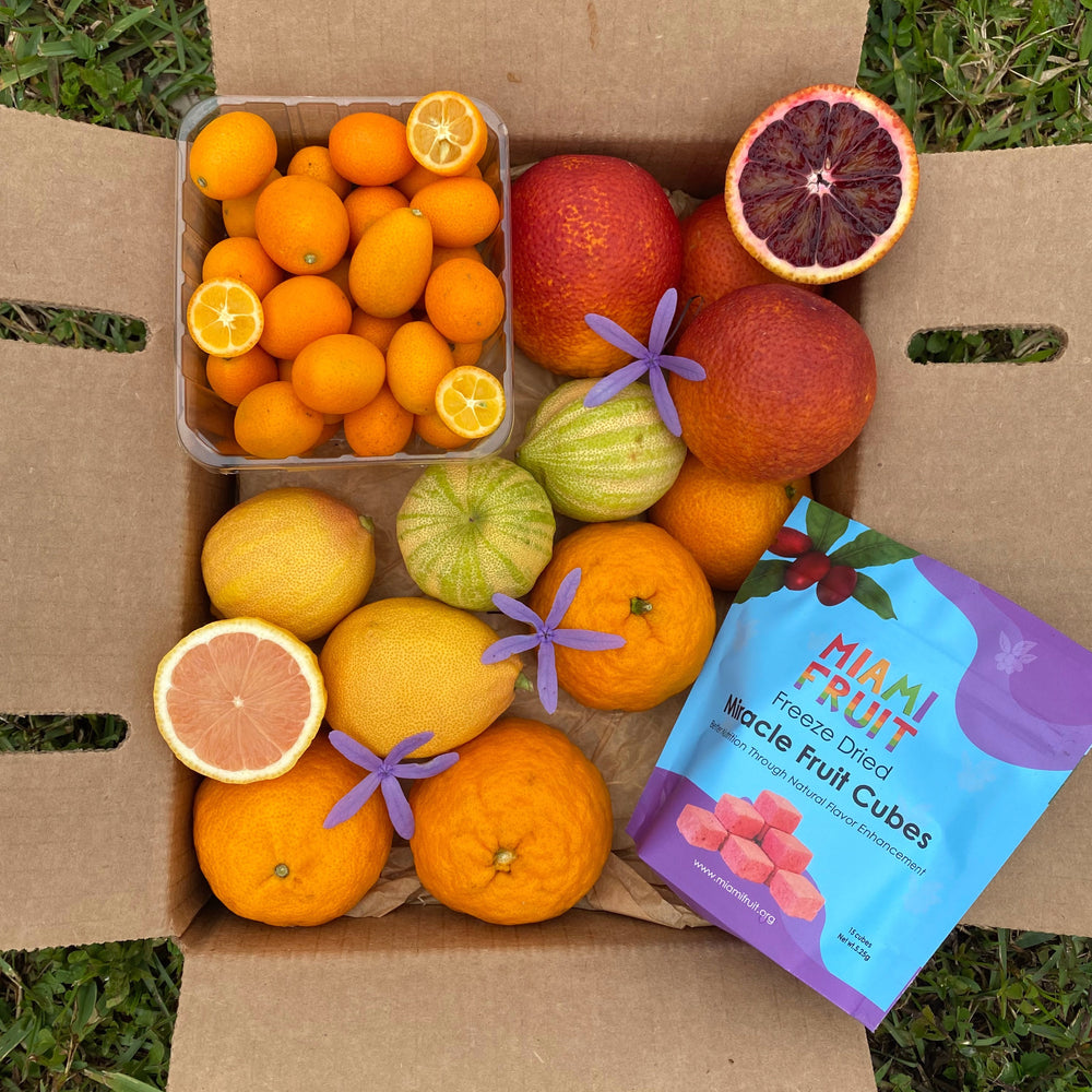 Miami Fruit - Best Tropical Fruit Boxes in the USA