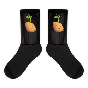 Sprouted Coconut Socks
