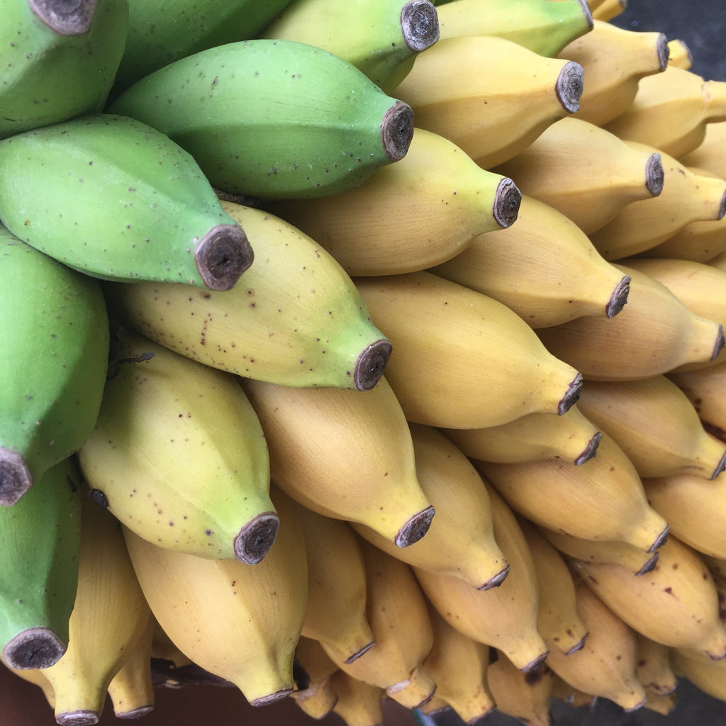 mysore_bananas_-