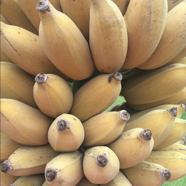 Nam Wah Bananas
