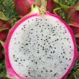 
            
                Load image into Gallery viewer, White Dragonfruit (Pitaya)
            
        