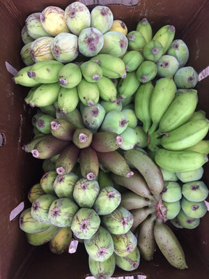 Banana Variety Box