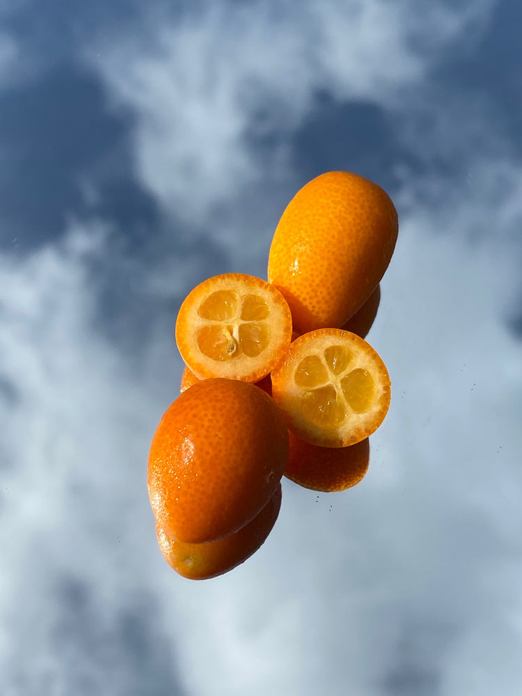 Kumquat *Pre-Order*