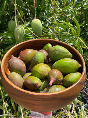 Baby Green (Unripe) Mango